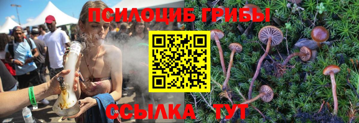 Ялта  Псилоцибиновые грибы Psilocybe  Вход с VPN 